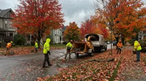 Tree Branch Removal Cost in 2026: What You'll Actually Pay 1 Tree Branch Removal Cost