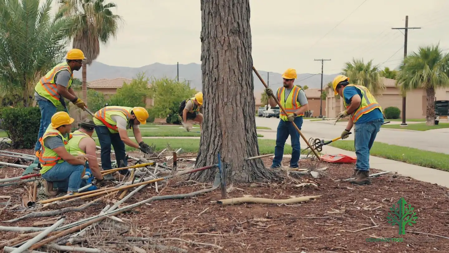 emergency tree removal nashville tn 1