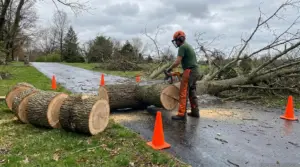 storm cleanup crew
