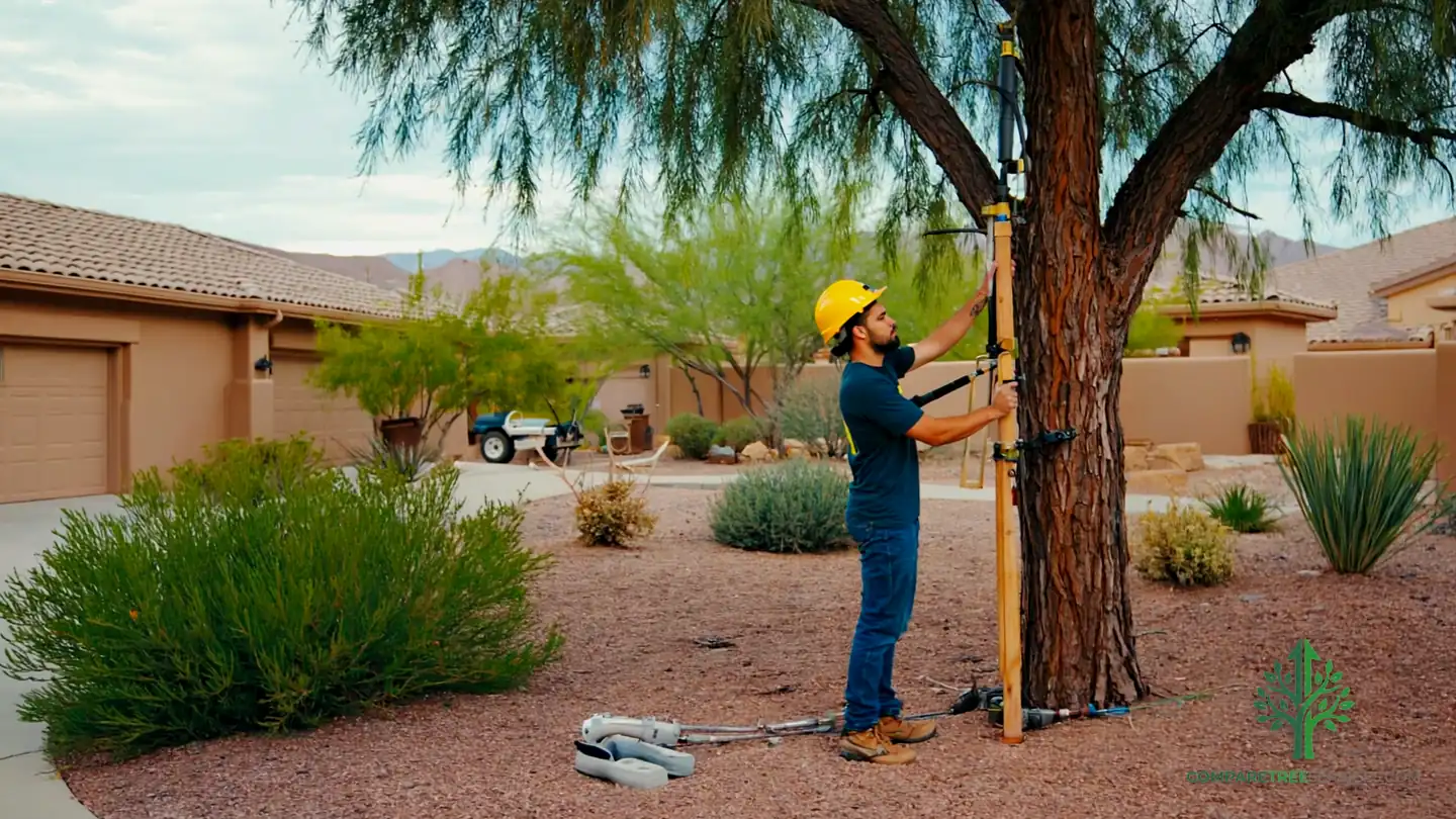stump removal cumming ga 1