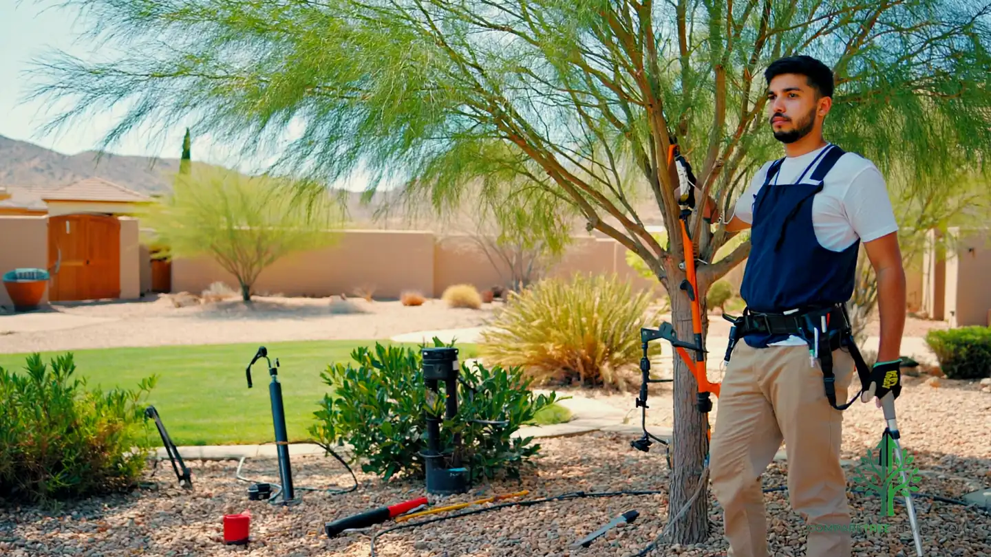 tree disease treatment