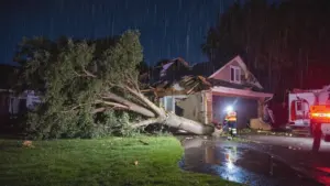 Tree Fell on House: What to Do in the First 24 Hours 1 Tree Fell on House