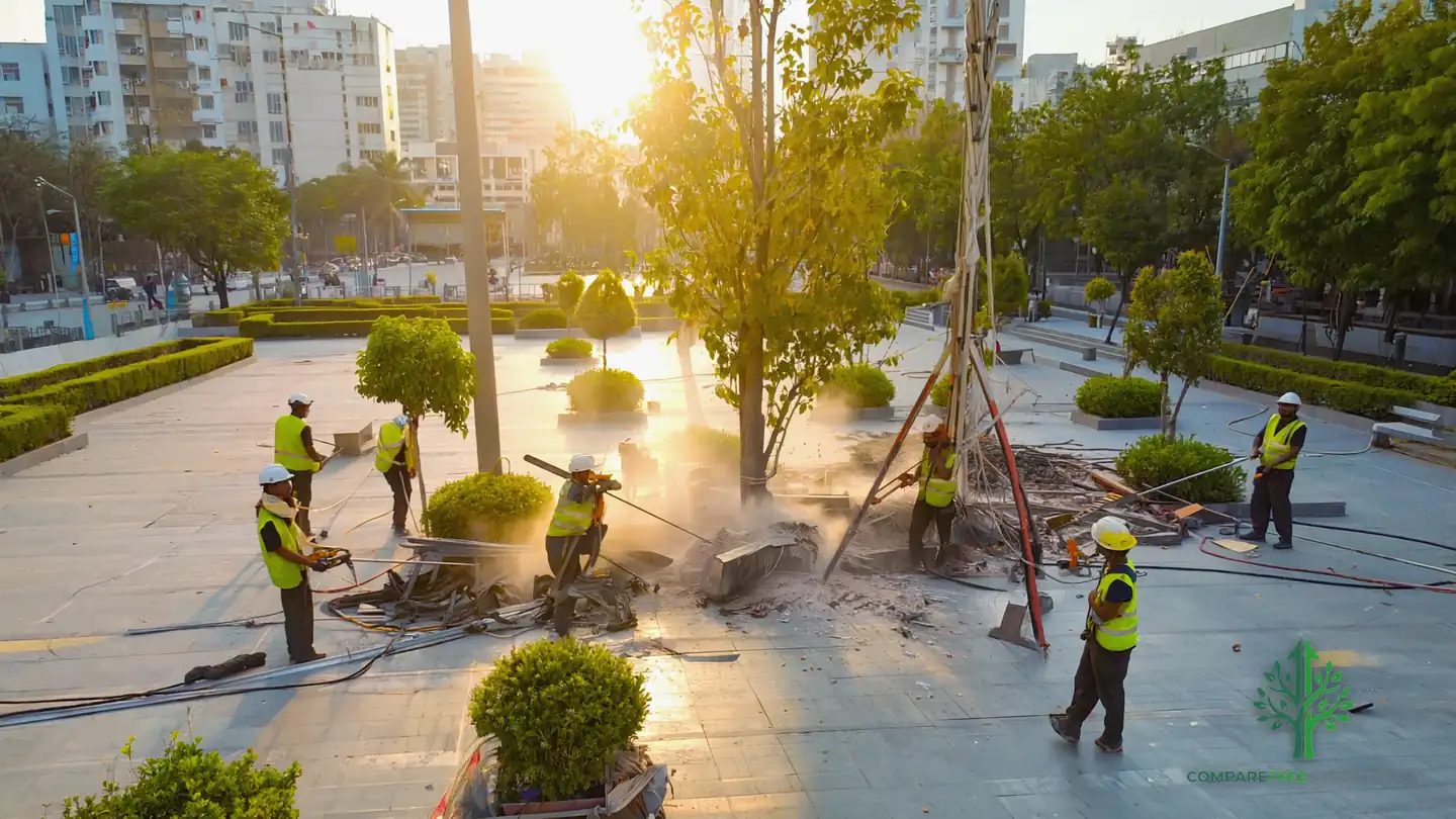 tree removal charlottesville va
