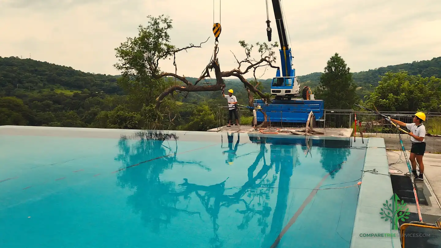 tree removal grand rapids mi