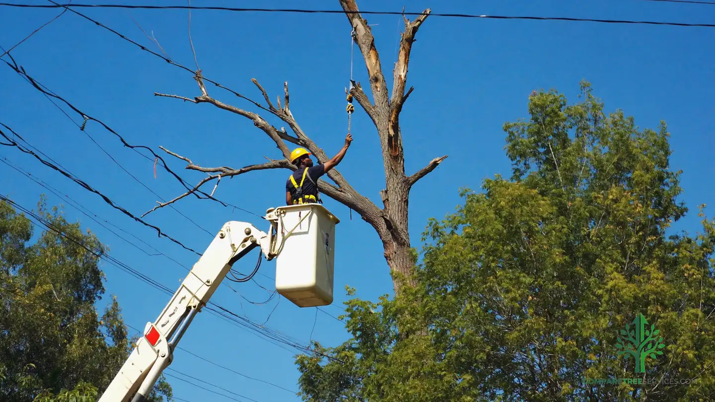 tree removal las vegas nv