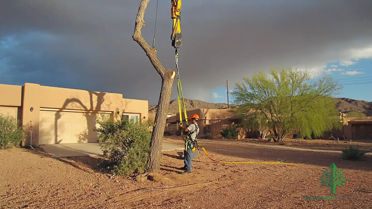tree removal tulsa ok