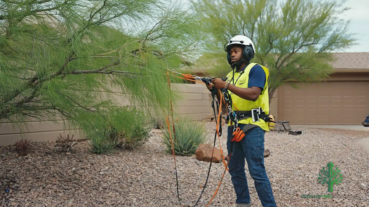 tree service minneapolis mn