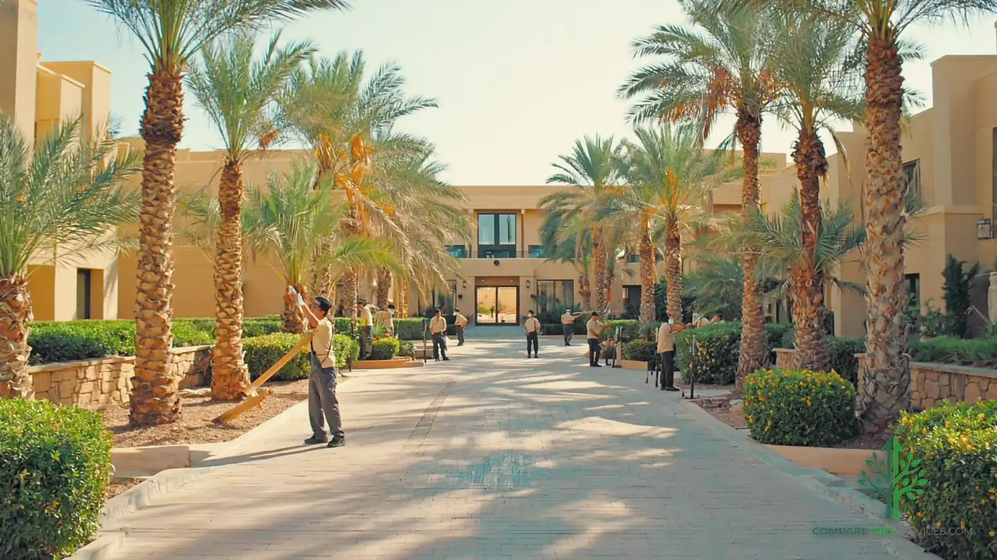 tree trimming grand rapids mi 1