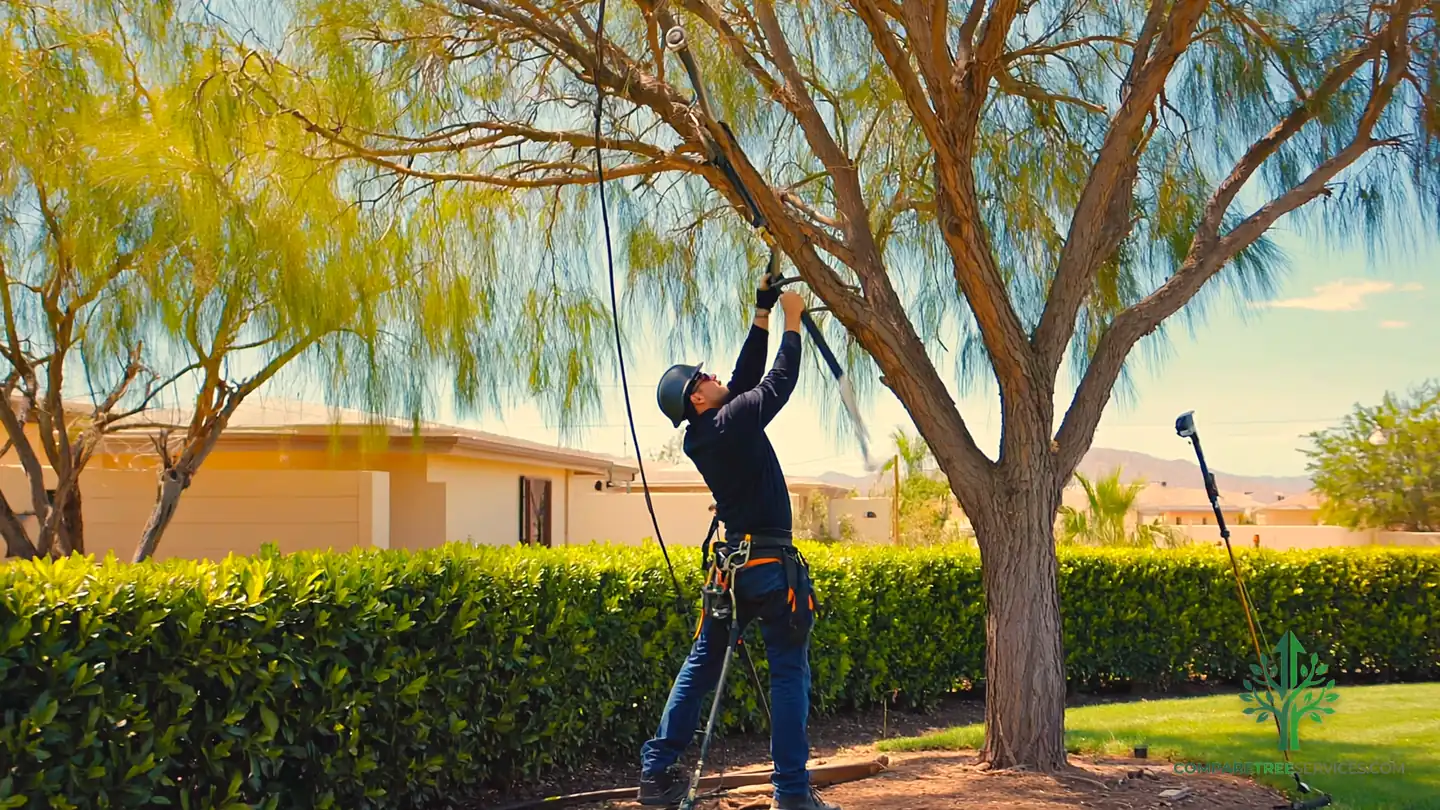 tree trimming kansas city mo